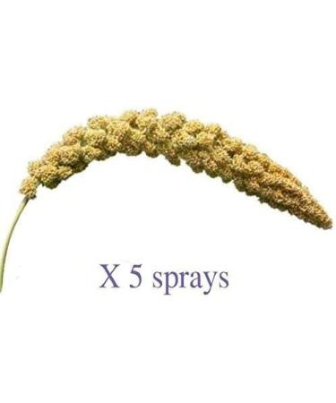 SIPW - Small Animal Hamster Caged Bird Budgie Millet Sprays Sprigs (5 x Sprays of Millet) - Buy Online on SooperMarket.com