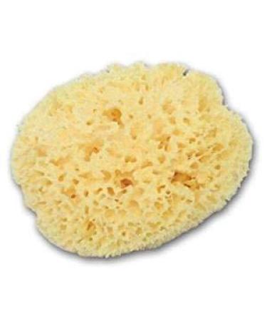 Large Luxurious Greek Silk Soft Natural Sea Sponge Adult Bath 6''- 6.5''