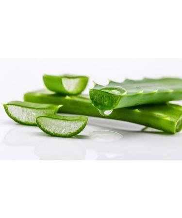 Natural Aloe Vera Depilatory Wax 1kg - Sustainable Hair Removal | Selas - Buy Online on SooperMarket.com