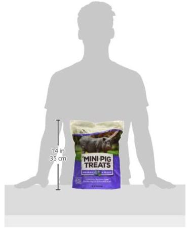 Manna Pro Mini-Pig Treats | Berries & Cream Flavor | 4 lb - Premium Snack for Mini Pigs - Buy Online on SooperMarket.com