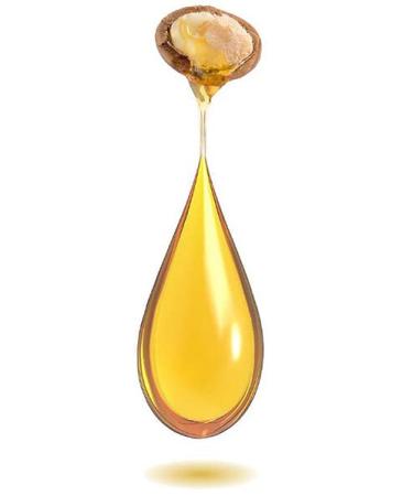 Feriha Moroccan Argan Oil Hair Mask 17.6 Fl Oz | Salon Quality Treatment with Aloe Vera Extracts for Visible Results - Buy Online on SooperMarket.com