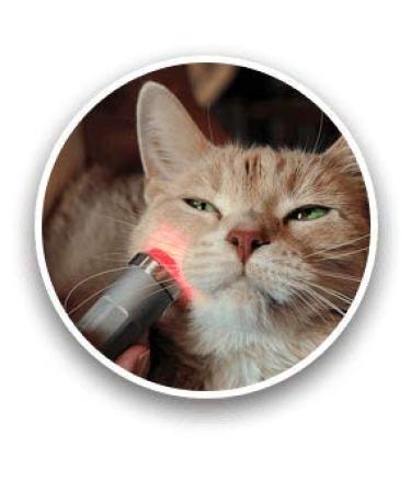 playhair Red Led Light Therapy Device -Cat Dog Horse. Pain Relief Hip Joint Mobility.and Inflammation Relief Advanced Pain Relief