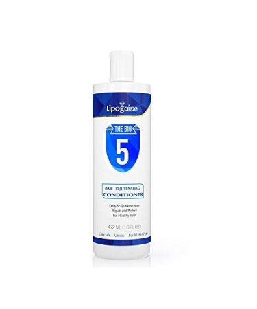 Lipogaine The Big 5 Hair Loss Prevention Conditioner With Argan Oil Keratin Aloe Vera