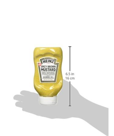 Heinz Spicy Brown Mustard 14 oz Bottles - Pack of 6 | Premium Condiment - Buy Online on SooperMarket.com