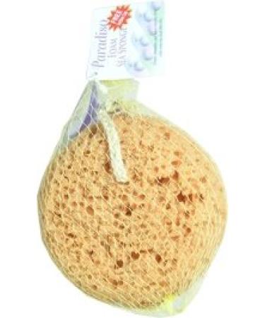 Paradiso Foam Sea Sponge with Suction Cup