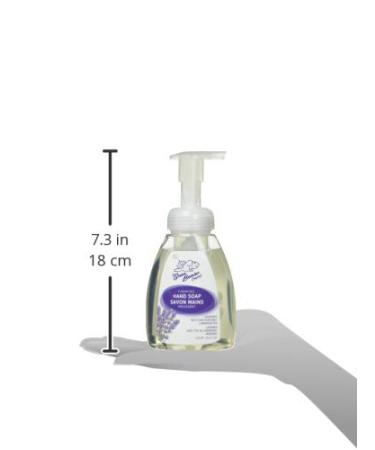 GREEN BEAVER Foaming Hand Wash - Lavender Scent 250 ML | Eco-Friendly & Gentle Cleansing for All Skin Types - International Shipping Available - Buy Online on SooperMarket.com