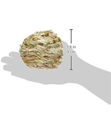 Trixie 61825 Grass Ball with Bell - 10 cm | Interactive Cat Toy for Fun Playtime - International Shipping Available - Buy Online on SooperMarket.com