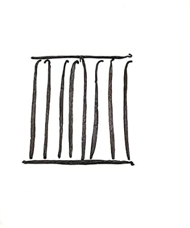 Grade A Madagascar Vanilla Beans for Pure Vanilla Extract & Baking - 5''-7'' NON-GMO (Pack of 1) - Buy Online on SooperMarket.com