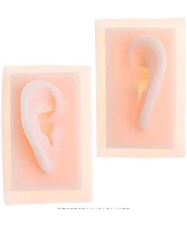 Model of Ear A Model of Silicon Ears Couple Human Model The of The Medical Research Pelle9 7 X 6.3 Centimeters / 3.82 X 2.48Inch - Buy Online on SooperMarket.com