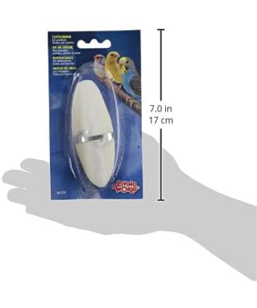 Buy HG Sepia Shell Small - Premium Quality Fast International Shipping - Buy Online on SooperMarket.com