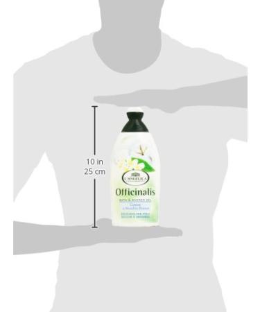 Buy The Angelica Bath Point 500ml - Pack of 6 | International Shipping Available - Buy Online on SooperMarket.com