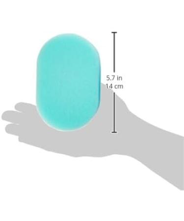 Meridiana Standard Bath Sponge Assorted Color 3 count (Pack of 1) - Buy Online on SooperMarket.com