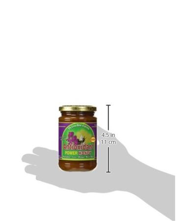 Y.S. Eco Bee Farms Antioxidant Power Honey - 13.5 oz (383 g) - Natural Health Boost - Buy Online on SooperMarket.com