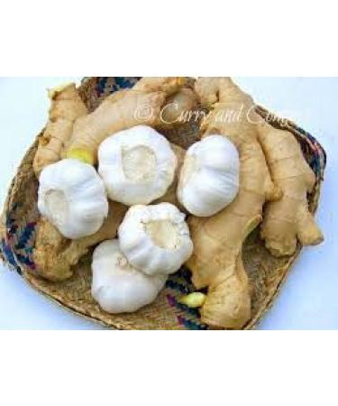 TRS Minced Ginger & Garlic Paste 1kg | Authentic Flavor | Premium Quality | Versatile Usage | No Added Preservatives | Consistent Taste - Buy Online on SooperMarket.com