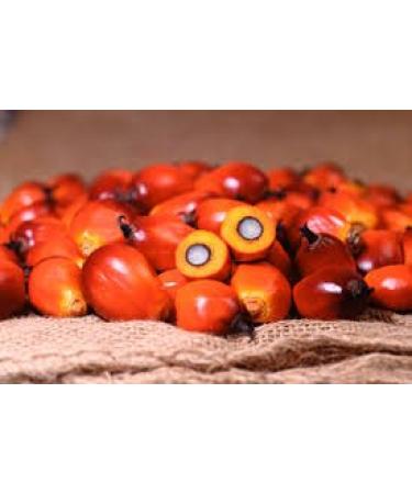 Praise Red Palm Oil 2-Liters - Zomi: Pure and Sustainable Cooking Oil - Buy Online on SooperMarket.com