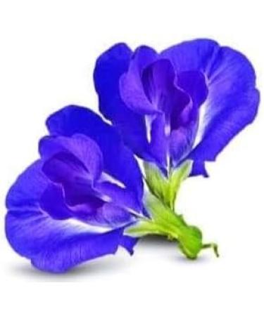 Ceylon Cinnamons Pure & Natural Butterfly Loose Flower 50g Loose Blue Matcha Caffeine-Free Flower Tea Sparkle your smoothies baking cuisines - Buy Online on SooperMarket.com