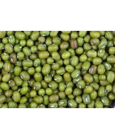 Jiva Organics 4 LB Large Bag Organic Mung Beans - Green Moong Beans - Buy Online on SooperMarket.com
