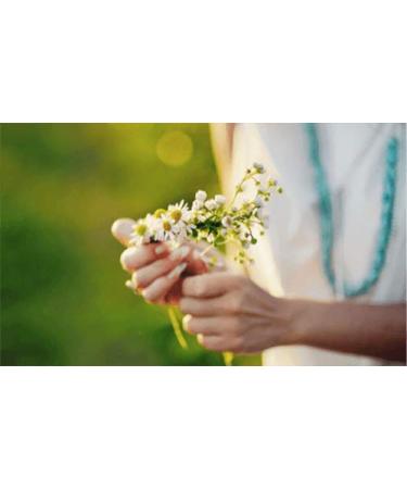 Kamill Hand & Nail Cream BALSAM 300 ml | BIO Chamomile Aloe Vera & Avocado Oil | Made in Germany - Hydrating & Nourishing Care - Buy Online on SooperMarket.com