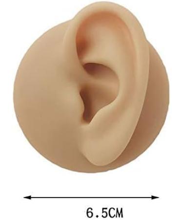Silicone Ear Model - Human Ear Model Simulation - for Human Body Piercing Acupuncture and Moxibustion Ear Practice Ear Teaching - Buy Online on SooperMarket.com