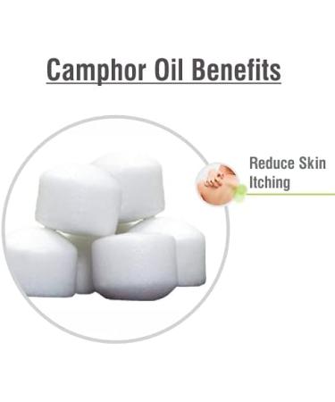 Camphor Oil (Cinnamonutn camphora) 100% Natural Pure Undiluted Uncut Carrier Oil 100ml with Dropper Camphor 100 ml with dropper - Buy Online on SooperMarket.com