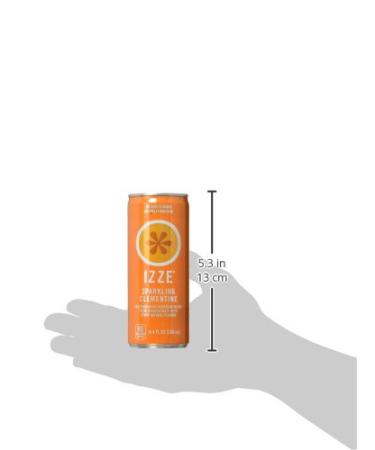 IZZE Sparkling Juice Clementine 8.4 Fl Oz (12 Pack) - Buy Online on SooperMarket.com
