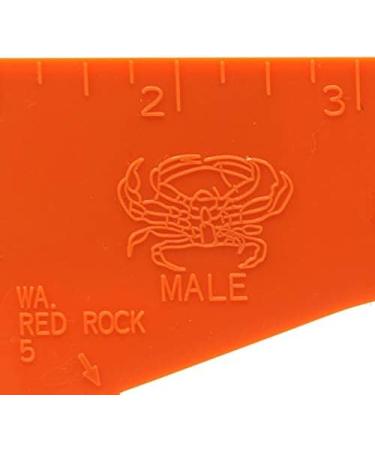 AirFly Crab Gauge - Accurately Measure Dungeness & Rock Crabs - Convex Design - Buy Online on SooperMarket.com