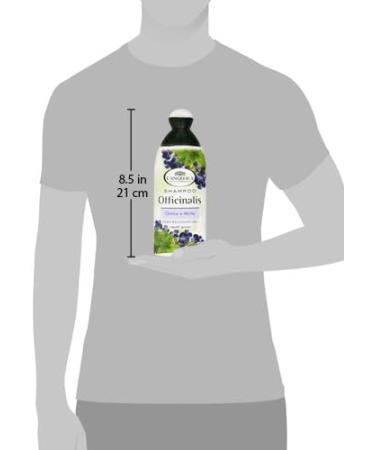 L Angelica Officinalis Shampoo - Sebum Regulating with Nettle & Myrtle 250ml | Italian Import for Healthy Hair - Buy Online on SooperMarket.com
