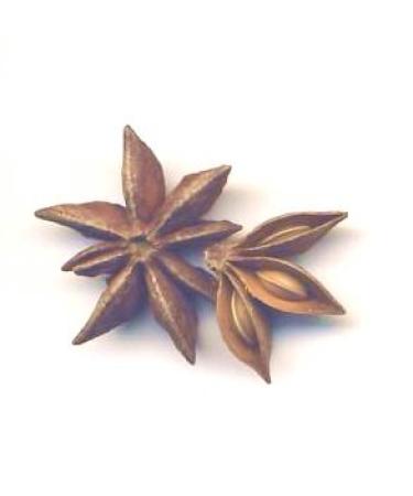 Buy Organic Whole Star Anise 100g | Dragonspice Naturwaren - Premium Quality International Shipping - Buy Online on SooperMarket.com