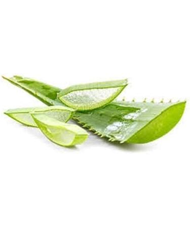 Organic Aloe Vera Powder - Premium Quality for Face, Hair, Smoothies & Baking - 100g - Buy Online on SooperMarket.com