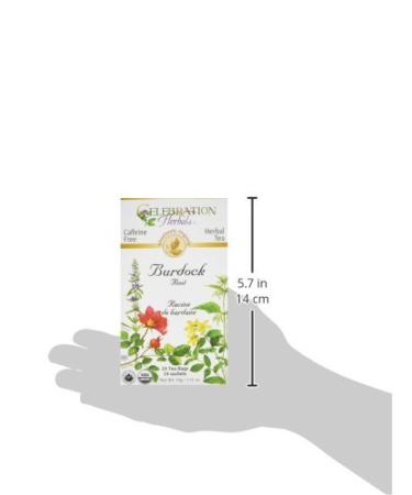 Celebration Herbals Burdock Root Tea Bags - 24 Count - Buy Online on SooperMarket.com