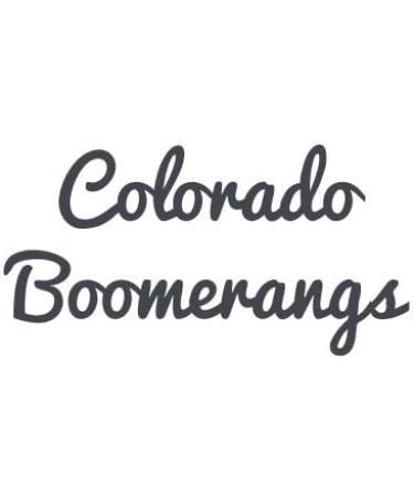 Glow in The Dark Bumblebee Boomerang - Easy Returning Boomerangs | Buy Online - Buy Online on SooperMarket.com