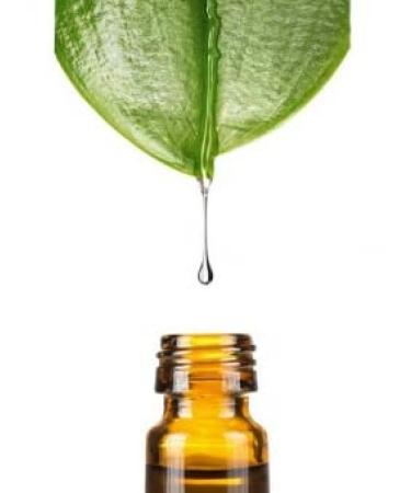 Kigeline Extract ORGANIC 100ml by Dragonspice Naturwaren 100ml