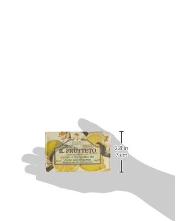 Nesti Dante Il Frutteto Energizing Soap - Citron and Bergamot 8.8oz - Buy Online on SooperMarket.com
