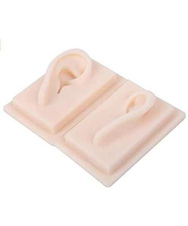 Silicone Ear Model for Educational Kit for The Acupuncture Treatment of The School Model of Human Ear Silicone-Size Natural 1 1 1 Pair - Buy Online on SooperMarket.com