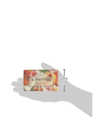 Nesti Dante Il Frutteto Sweetening Soap - Peach & Melon 8.8oz | Premium International Shipping - Buy Online on SooperMarket.com