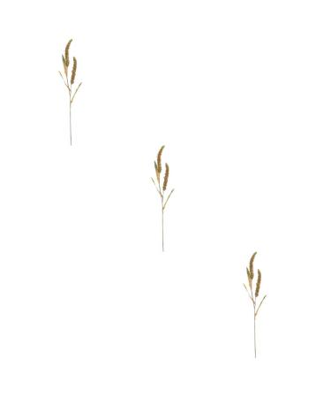 Zerodeko 3pcs Simulated Ears of Corn Plant Decor Dried Wheat Stalks Artificial Wheat Ears Artificial Grasses Bundle Fake Wheat Ears Simulation Wheat Ears Dried Millet Household Iron Straw Greenx3pcs 12X75CMx3pcs
