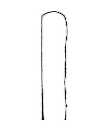 Partrade 072659 Lunge Whip with Popper Black, 72"