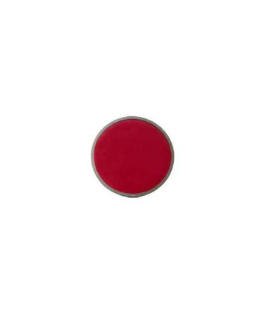 KODAK Safelight Filter #GBX-2, 5.5" Round Size
