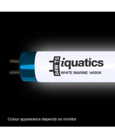 iQuatics Juwel Compatible Aquarium Fluorescent Light Bulb T5 (3 Pack) White 14000k 35w 742mm 30 White 14000k 35w 742mm 30 - Buy Online on SooperMarket.com