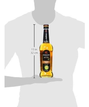 Riemerschmid Hazelnut & Coconut Bar Syrup Bundle (2 x 0.7L) - Premium Flavors for Cocktails & Desserts | International Shipping Available - Buy Online on SooperMarket.com