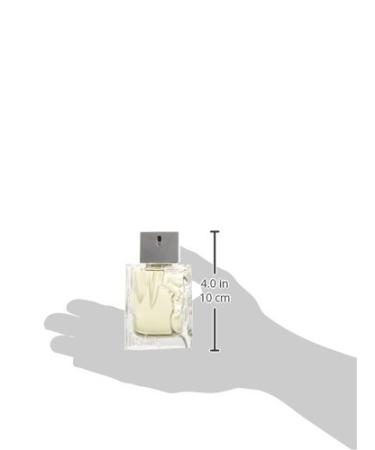sisley paris Eau D'ikar Eau de Toilette Spray for Men 1.7 Ounce - Buy Online on SooperMarket.com