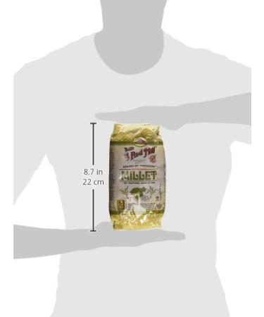 Buy Bob's Red Mill Millet Whole Grain - 28 oz (793 g) | Gluten-Free Superfood - Buy Online on SooperMarket.com