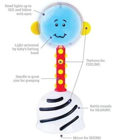 SmartNoggin Baby Milestones Bundle: NogginStik Light-Up Rattle & Baby's First Book - Developmental Toys for Infants - Buy Online on SooperMarket.com