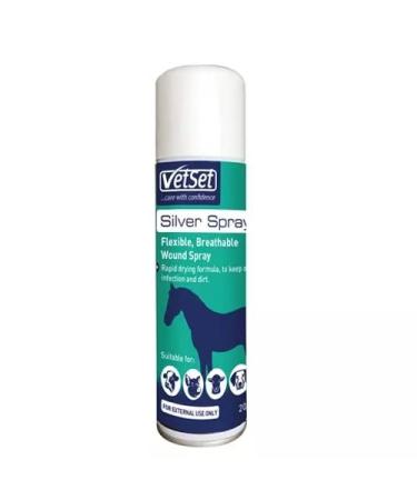 ALUMINIUM SILVER SPRAY 9222
