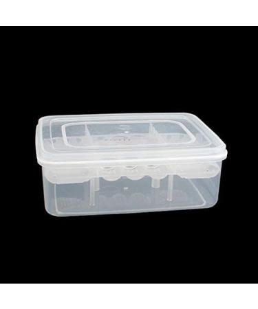 16 Grids Reptile Breeder Box - Professional Plastic Breeding & Hatching Incubator for Reptiles - Ideal for Snakes, Lizards, Turtles, and Geckos - Includes Eggs Tray - 6.6 x 4.8 x 2.4 inches - Buy Online on SooperMarket.com