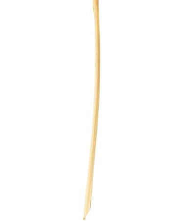 Vickerman Natural Botanicals 20" Natural Palm Sun Stem Real Preserved Foliage Stems Includes 12 Stems Per Pack - Buy Online on SooperMarket.com