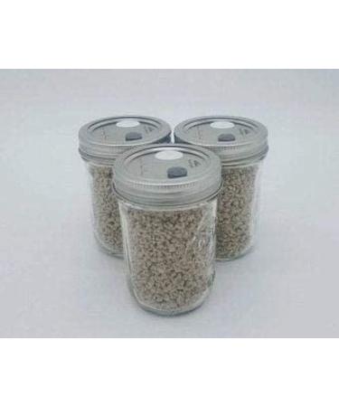 BRF PF Tek Brown Rice Flour Mushroom Substrate - 1/2 Pint Jar - Buy Online on SooperMarket.com
