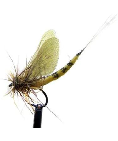 Hemingway's Realistic May Fly Wings Set - Gray | High-Quality Fly Tying Materials - Buy Online on SooperMarket.com