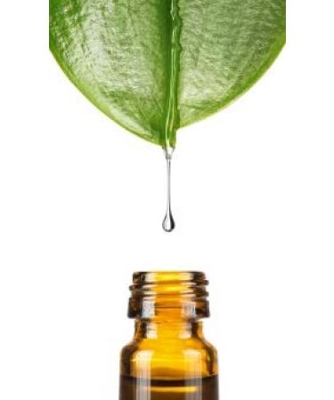 Solvent LV 41 HT 50ml from Dragonspice Naturwaren 50ml 50 Ml