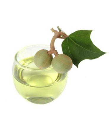 100% Organic Kukui Nut Oil - Imported from Hawaii | 2oz Glass Bottle with Dropper | Natural Moisturizer for Skin Hair & Face | Sweet Essentials - Buy Online on SooperMarket.com
